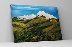 Obraz Francúzske vinohrady 1402